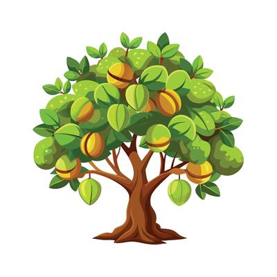 Beautiful Single Big Tree Illustration