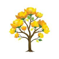 Beautiful Single Big Tree Illustration vector