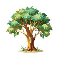 Beautiful Single Big Tree Illustration vector