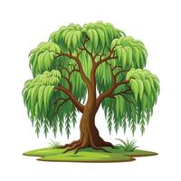 Beautiful Single Big Tree Illustration vector
