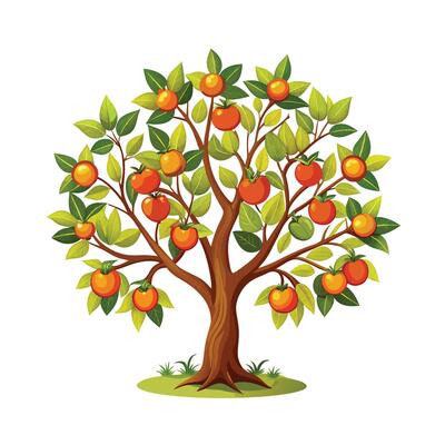 Beautiful Single Big Tree Illustration