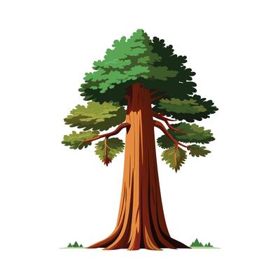 Beautiful Single Big Tree Illustration