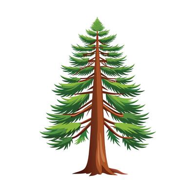 Beautiful Single Big Tree Illustration