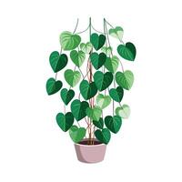 Beautiful Flowerpot Houseplant Illustration vector