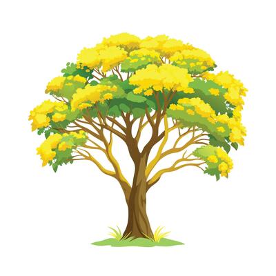 Beautiful Single Big Tree Illustration