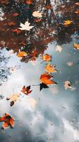 Autumn leaves floating in a puddle with reflections in the water photo