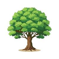 Beautiful Single Big Tree Illustration vector