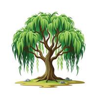 Beautiful Single Big Tree Illustration vector