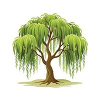 Beautiful Single Big Tree Illustration vector
