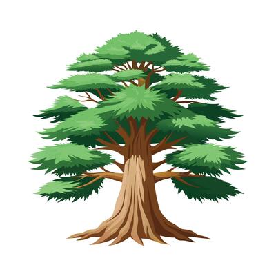 Beautiful Single Big Tree Illustration