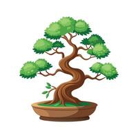 Beautiful Single Big Tree Illustration vector