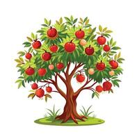 Beautiful Single Big Tree Illustration vector