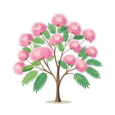 Beautiful Single Big Tree Illustration