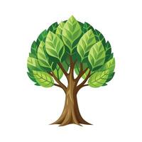 Beautiful Single Big Tree Illustration vector