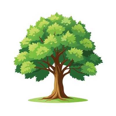 Beautiful Single Big Tree Illustration