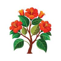 Beautiful Single Big Tree Illustration vector