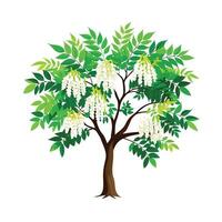 Beautiful Single Big Tree Illustration vector