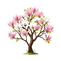 Beautiful Single Big Tree Illustration vector
