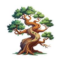 Beautiful Single Big Tree Illustration vector