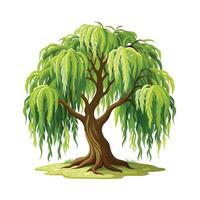 Beautiful Single Big Tree Illustration vector