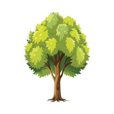 Beautiful Single Big Tree Illustration