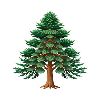 Beautiful Single Big Tree Illustration