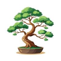 Beautiful Single Big Tree Illustration vector