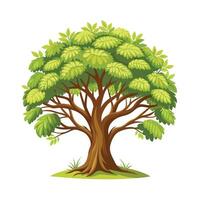 Beautiful Single Big Tree Illustration vector