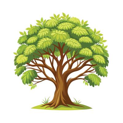 Beautiful Single Big Tree Illustration