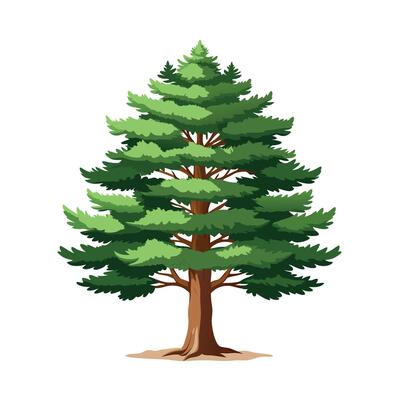 Beautiful Single Big Tree Illustration