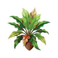 Beautiful Flowerpot Houseplant Illustration vector