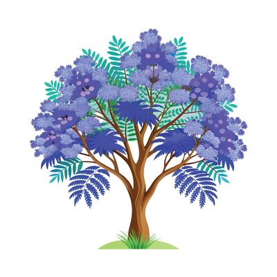 Beautiful Single Big Tree Illustration