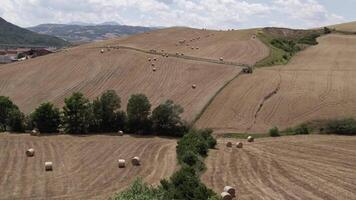 Drone over hay rolls in farm fields in autumn cloudy day video