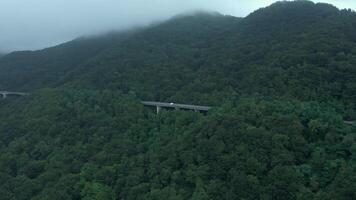 A drone over a mountain road in dense forest and fog. Cloudy summer day video