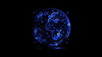 Glowing looping World soil day globe with soil texture. neon frame effect, black background. video