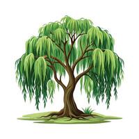 Beautiful Single Big Tree Illustration vector