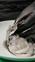 Hands Of A Chef Is Taking Black Ink From A Squid video