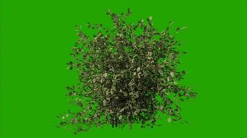 Trees on a green background. Seamless looping 4k time-lapse animation background video