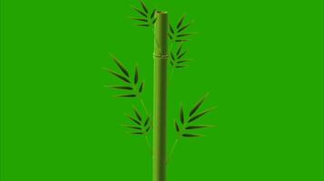 Trees on a green background. Seamless looping 4k time-lapse animation background video