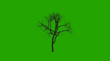 Trees on a green background. Seamless looping 4k time-lapse animation background video