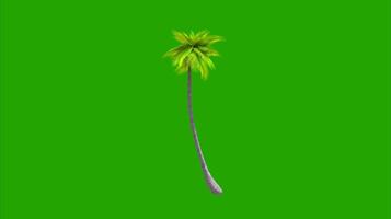 Trees on a green background. Seamless looping 4k time-lapse animation background video