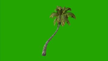 Trees on a green background. Seamless looping 4k time-lapse animation background video