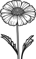 Simple line icon of a marigold flower on a white background. vector