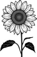 Sunflower flower icon in simple line art style vector