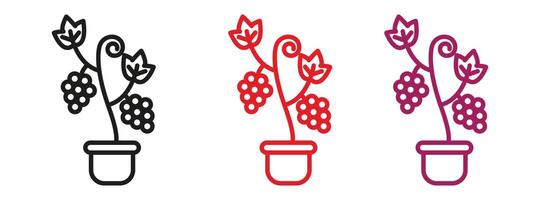 Berry shrubs and vines icon mark in filled style vector
