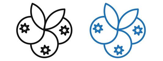 Blueberry Illustration Highlighting Delicious and Nutritious Berries vector