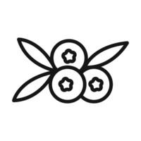 Cranberry icon mark in filled style vector