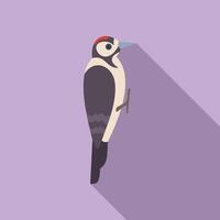Woodpecker standing on a branch with purple background vector