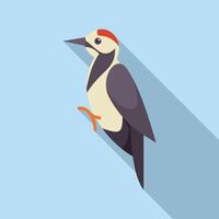 Woodpecker perching on tree trunk with blue background vector