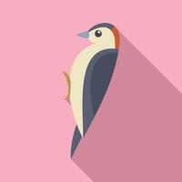 Woodpecker standing on pink background with shadow vector